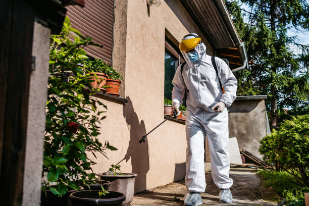 Bird Control in Jonesboro, LA
