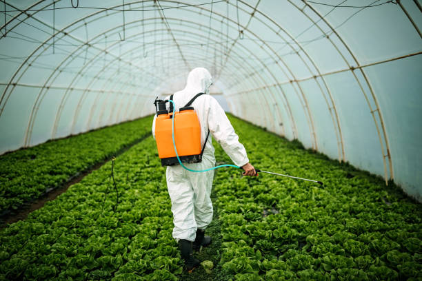 Best Pest Control Treatment  in Jonesboro, LA