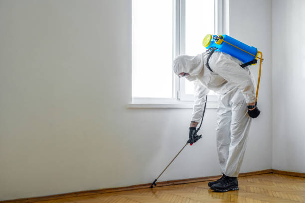 Pest Control for Restaurants in Jonesboro, LA