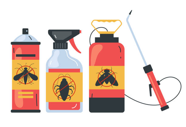 Wasp Removal Services in Jonesboro, LA