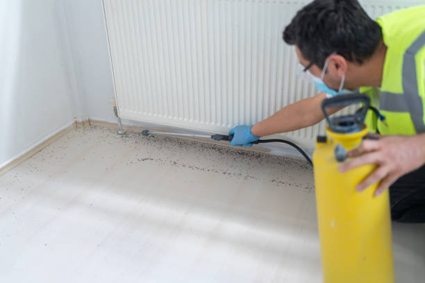 Best Best Pest Control Companies  in Jonesboro, LA